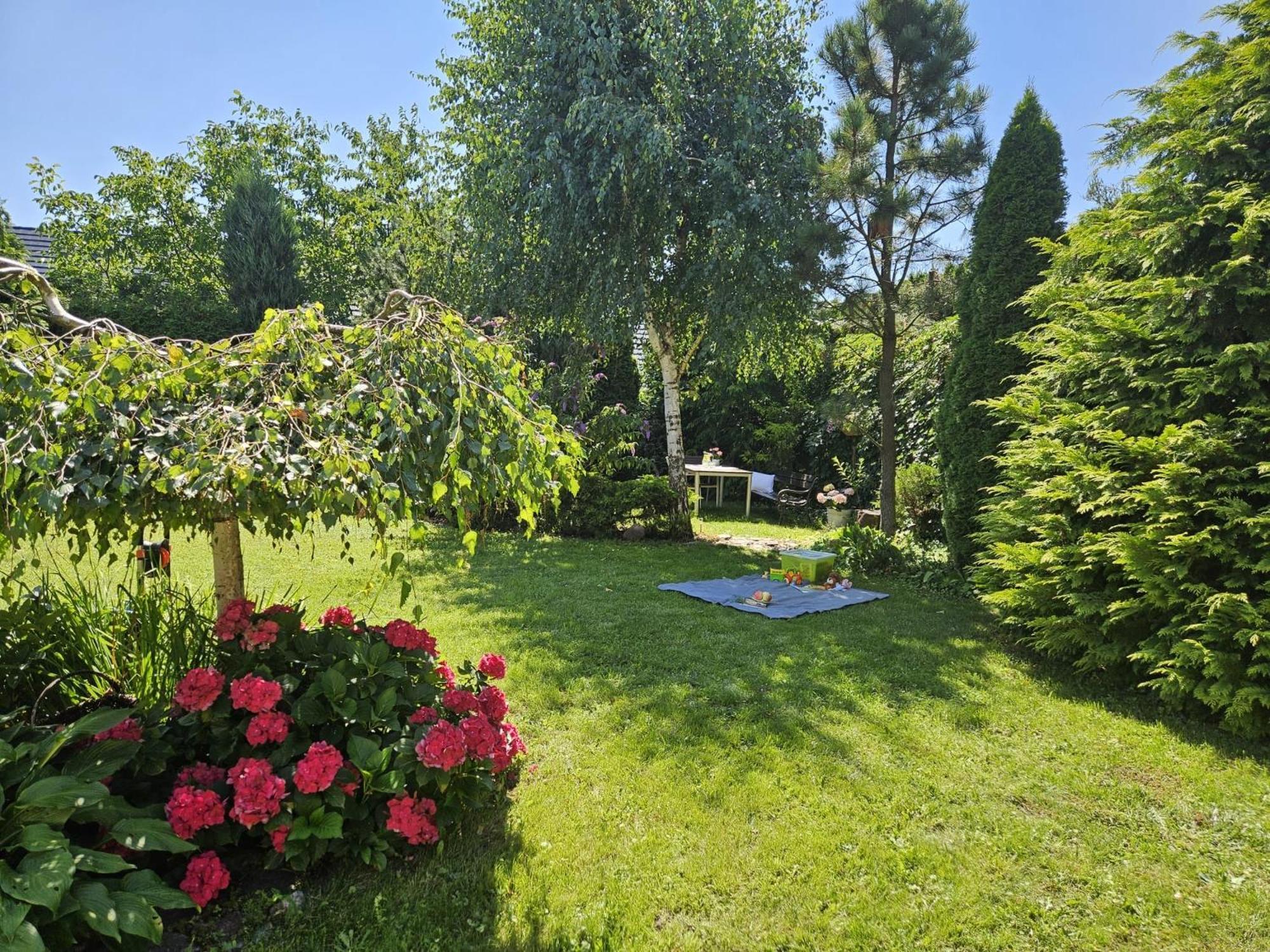 Apartament Garden- Parking, Ogrodek, Cicha Okolica بروشت غداينسكي المظهر الخارجي الصورة